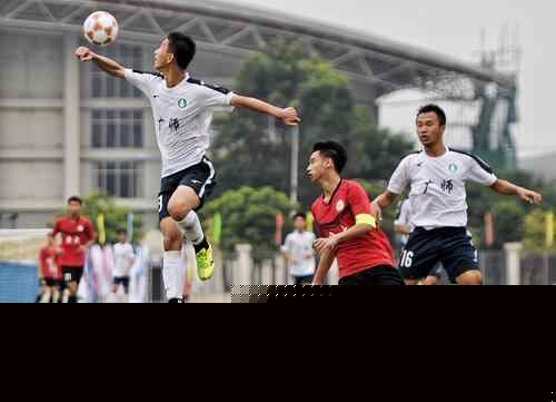 硬！记者：山西新援黑根斯左肩脱臼 让队医第一时间复位坚持出战（硬核！记者称山西新援黑根斯左肩脱臼，队医紧急复位后仍坚持出战）