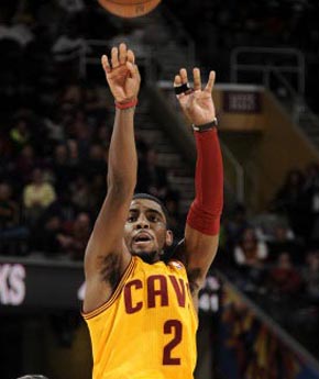 致敬，都柏林动物园将一只极度濒危的鹦鹉取名特洛伊-帕罗特（致敬之举： 都柏林动物园将一只极危鹦鹉命名为特洛伊-帕罗特）